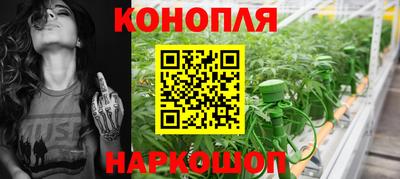 стафф Заводоуковск