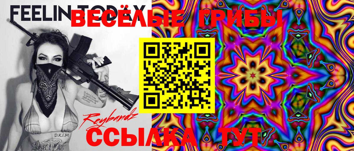 Камышлов  Галлюциногенные грибы Magic Shrooms  Галлюциногенные грибы Psilocybe  Вход с VPN 
