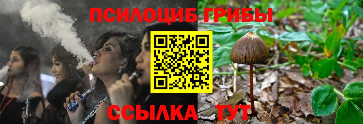 Псилоцибиновые грибы мицелий Камышлов